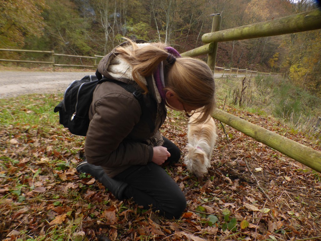 Sabine Hoernicke Milly Nationalpark Eifel Trueffelsuche mit Hund Deutschland Pilzschule