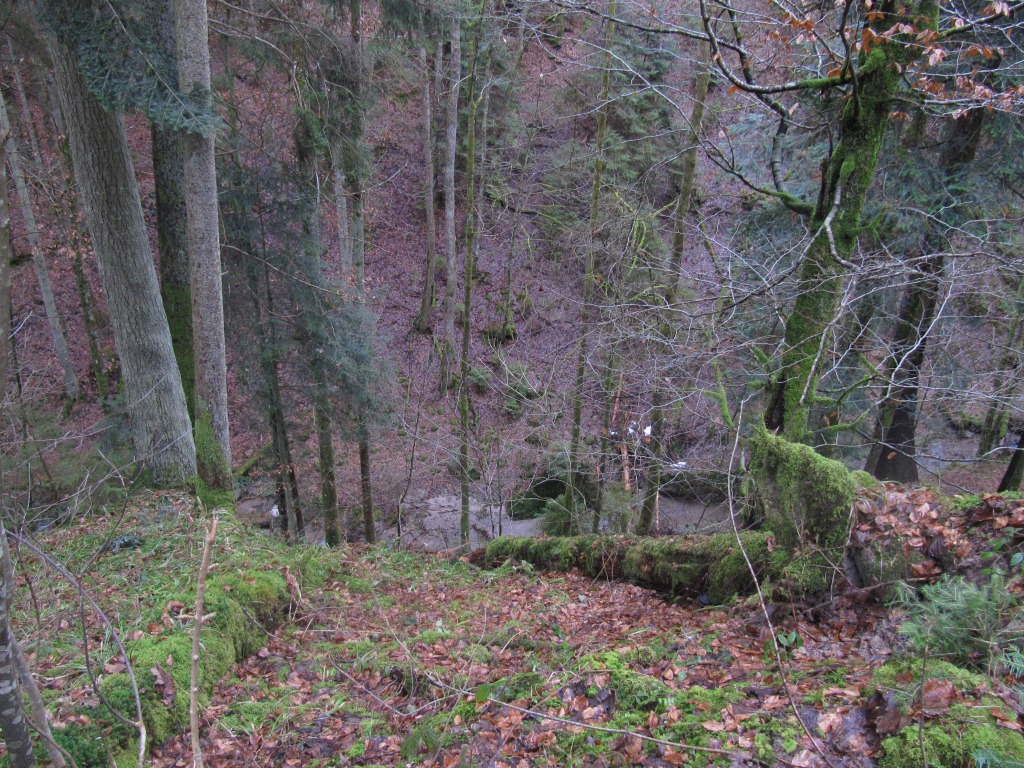 Gschwend-Bergsee-Schlucht-Seebach-Schwäbisch-Fränkischer-Wald