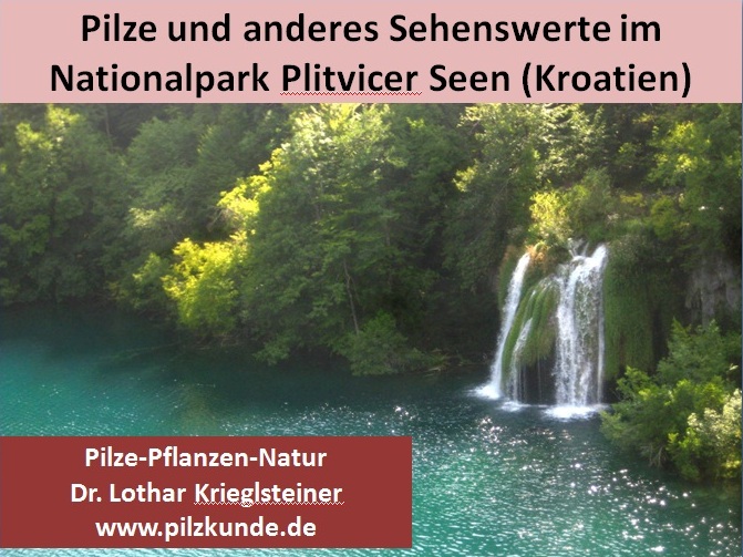 Plitvice-1-Nationalpark-Plitvicer-Seen-Kroatien-Pilze