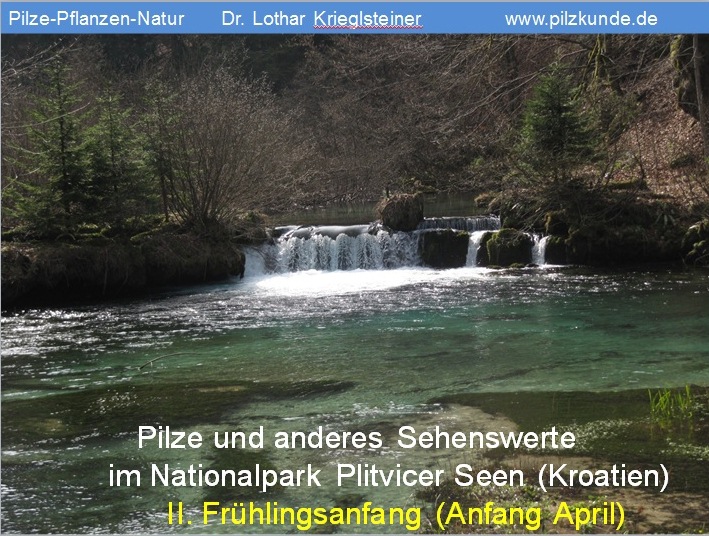 Plitvice-2-Nationalpark-Plitvicer-Seen-Kroatien-Pilze